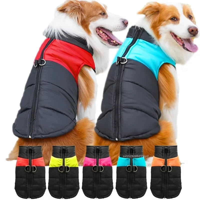 Waterproof Dog Winter Coat – Padded Zipper Jacket for Small, Medium & Large Dogs