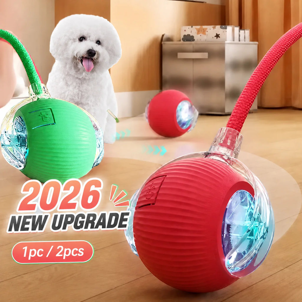 Automatic Rolling Ball Toy for Dogs & Cats – Rechargeable, Self-Moving