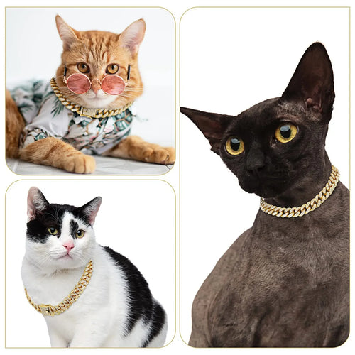 Diamond Cuban Chain Collar for Dogs & Cats – Gold