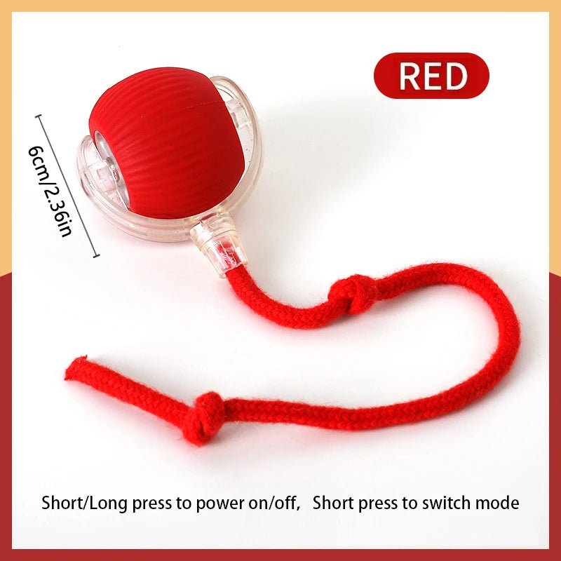 Smart Interactive Moving Ball for Dogs & Cats – USB Rechargeable