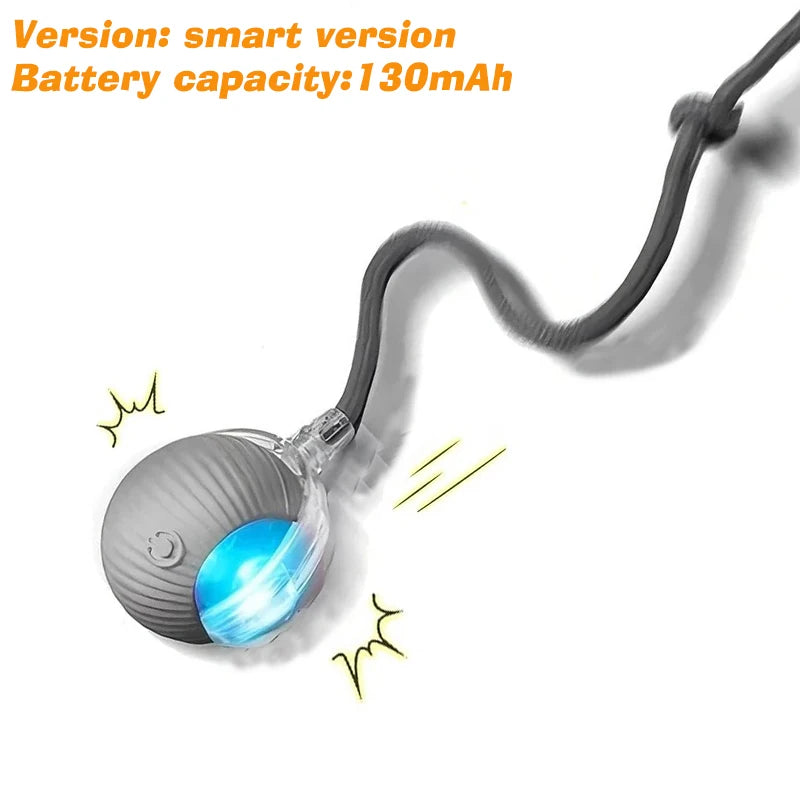 Automatic Rolling Ball Toy for Dogs & Cats – Rechargeable, Self-Moving