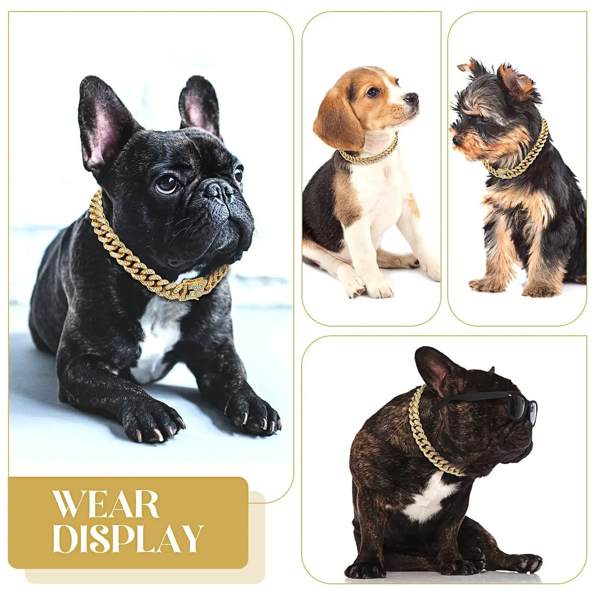 Diamond Cuban Chain Collar for Dogs & Cats – Gold