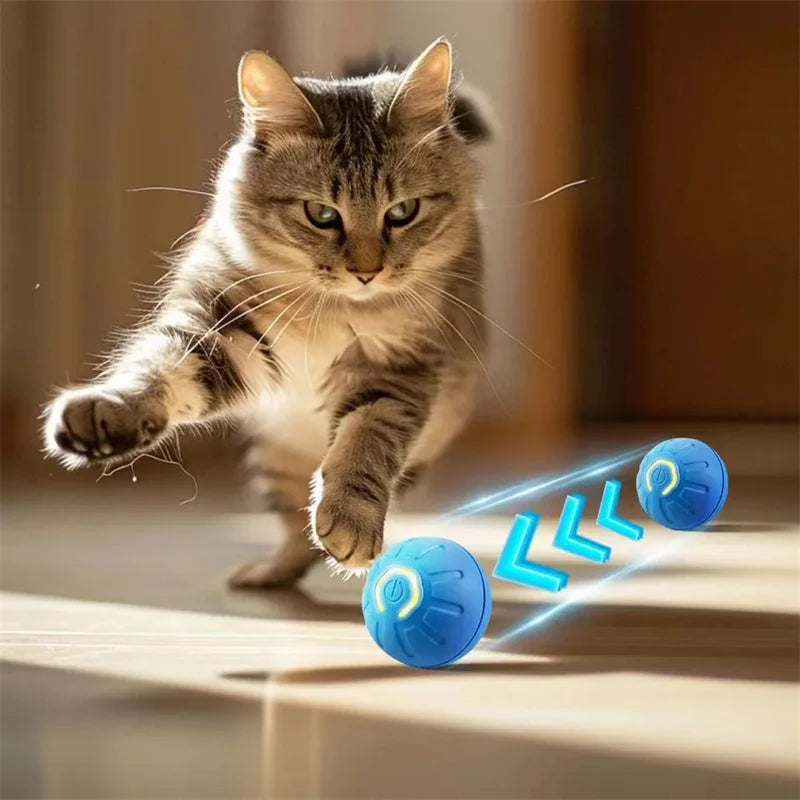 Smart Interactive Moving Ball for Dogs & Cats – USB Rechargeable