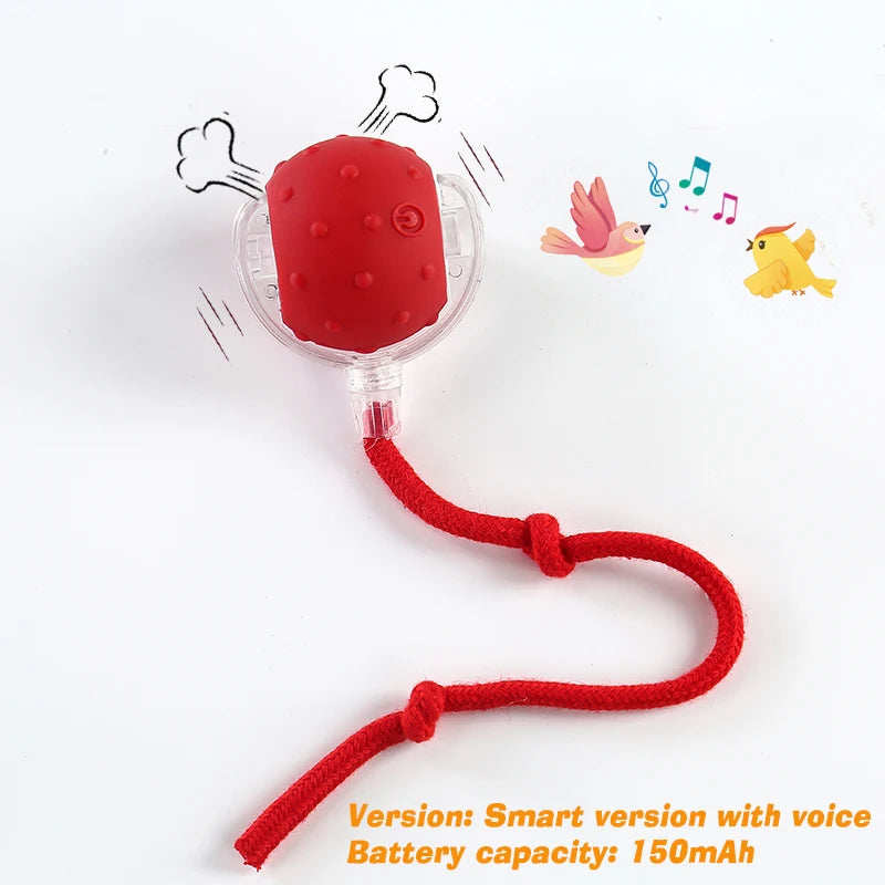 Automatic Rolling Ball Toy for Dogs & Cats – Rechargeable, Self-Moving
