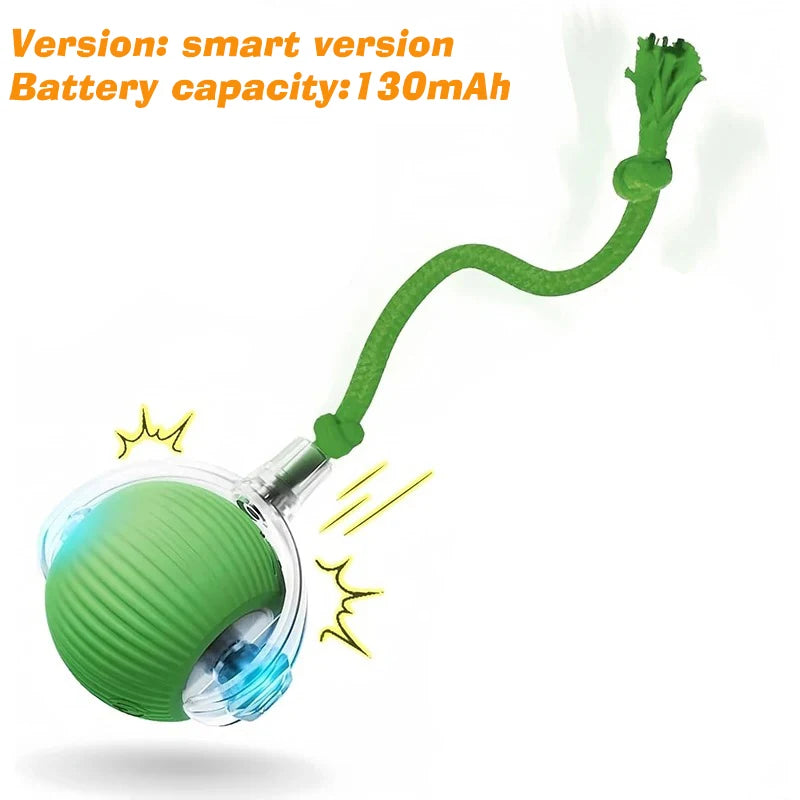Automatic Rolling Ball Toy for Dogs & Cats – Rechargeable, Self-Moving