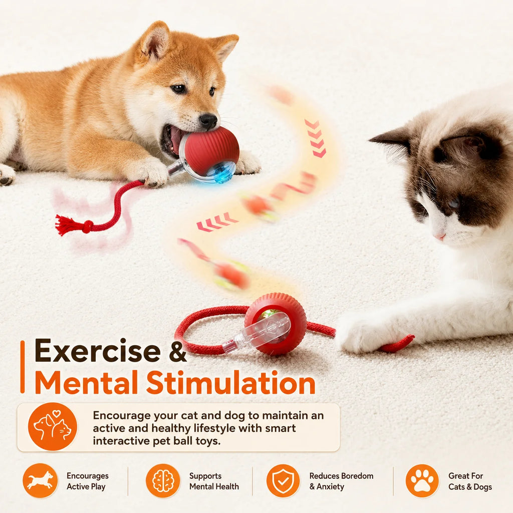 Automatic Rolling Ball Toy for Dogs & Cats – Rechargeable, Self-Moving