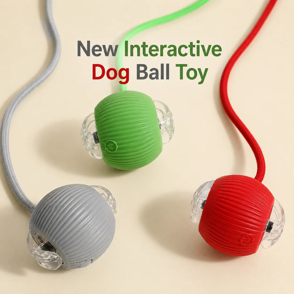 Automatic Rolling Ball Toy for Dogs & Cats – Rechargeable, Self-Moving